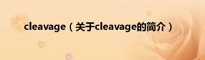 cleavage（關(guān)于cleavage的簡介）