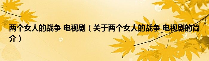 兩個(gè)女人的戰(zhàn)爭(zhēng) 電視?。P(guān)于兩個(gè)女人的戰(zhàn)爭(zhēng) 電視劇的簡(jiǎn)介）