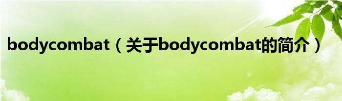 bodycombat（關于bodycombat的簡介）