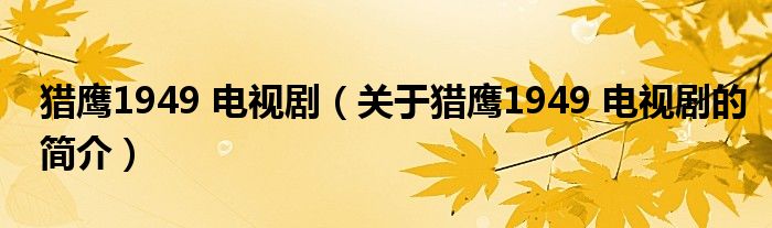 獵鷹1949 電視?。P(guān)于獵鷹1949 電視劇的簡介）