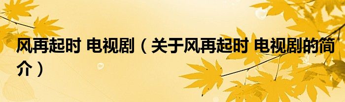 風(fēng)再起時(shí) 電視?。P(guān)于風(fēng)再起時(shí) 電視劇的簡(jiǎn)介）