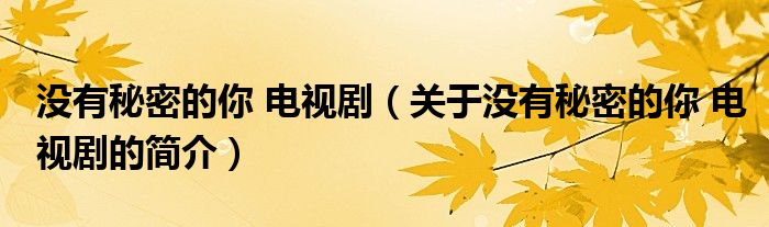 沒有秘密的你 電視?。P(guān)于沒有秘密的你 電視劇的簡介）