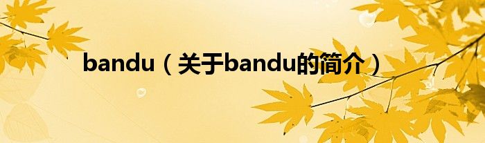 bandu（關于bandu的簡介）