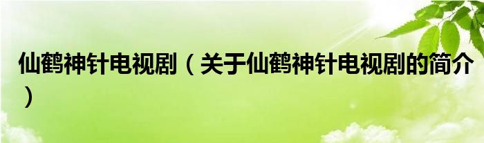仙鶴神針電視?。P(guān)于仙鶴神針電視劇的簡(jiǎn)介）