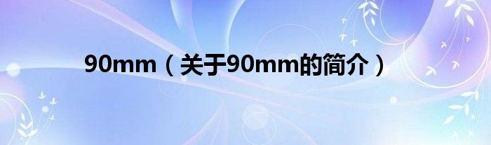 90mm（關于90mm的簡介）