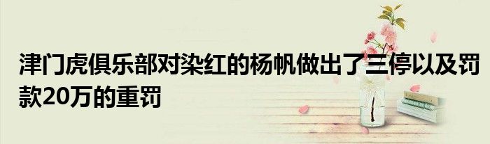 津門虎俱樂(lè)部對(duì)染紅的楊帆做出了三停以及罰款20萬(wàn)的重罰