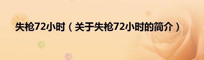 失槍72小時(shí)（關(guān)于失槍72小時(shí)的簡介）