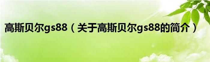 高斯貝爾gs88（關(guān)于高斯貝爾gs88的簡(jiǎn)介）