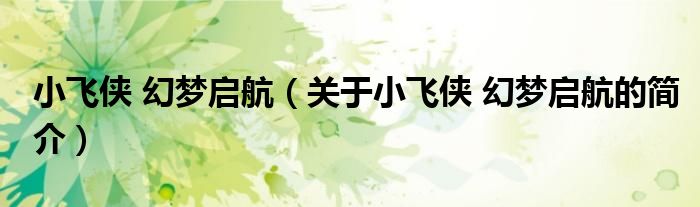 小飛俠 幻夢(mèng)啟航（關(guān)于小飛俠 幻夢(mèng)啟航的簡(jiǎn)介）