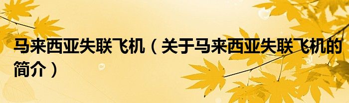馬來西亞失聯(lián)飛機(jī)（關(guān)于馬來西亞失聯(lián)飛機(jī)的簡介）