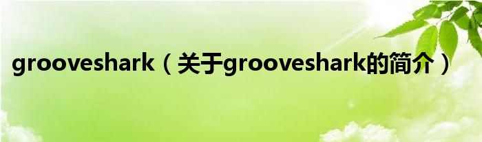 grooveshark（關于grooveshark的簡介）