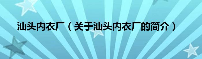 汕頭內(nèi)衣廠（關(guān)于汕頭內(nèi)衣廠的簡介）