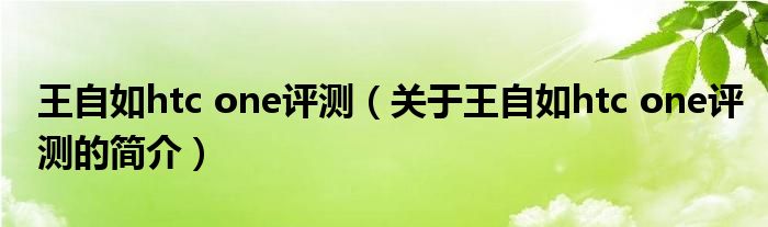 王自如htc one評測（關(guān)于王自如htc one評測的簡介）