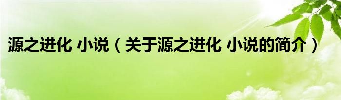 源之進(jìn)化 小說（關(guān)于源之進(jìn)化 小說的簡介）