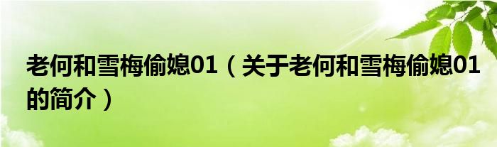 老何和雪梅偷媳01（關于老何和雪梅偷媳01的簡介）