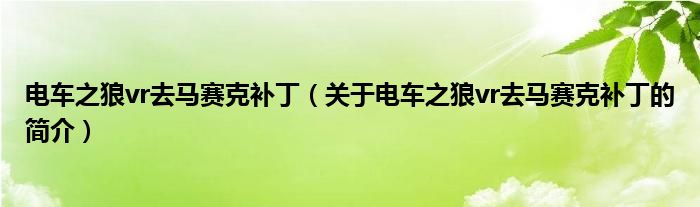 電車之狼vr去馬賽克補(bǔ)?。P(guān)于電車之狼vr去馬賽克補(bǔ)丁的簡(jiǎn)介）