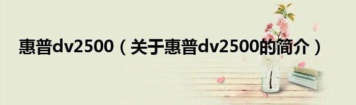 惠普dv2500（關(guān)于惠普dv2500的簡(jiǎn)介）