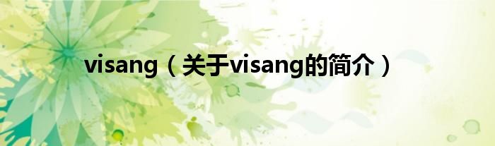 visang（關(guān)于visang的簡(jiǎn)介）