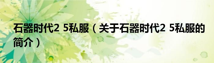石器時(shí)代2 5私服（關(guān)于石器時(shí)代2 5私服的簡介）