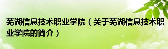 蕪湖信息技術(shù)職業(yè)學(xué)院（關(guān)于蕪湖信息技術(shù)職業(yè)學(xué)院的簡介）