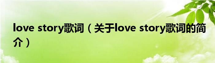 love story歌詞（關(guān)于love story歌詞的簡介）