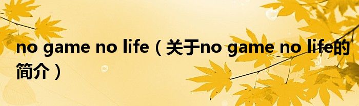 no game no life（關(guān)于no game no life的簡介）