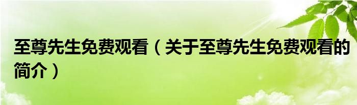至尊先生免費觀看（關(guān)于至尊先生免費觀看的簡介）