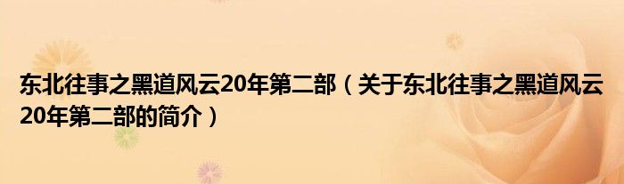 東北往事之黑道風(fēng)云20年第二部（關(guān)于東北往事之黑道風(fēng)云20年第二部的簡(jiǎn)介）