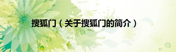 搜狐門（關于搜狐門的簡介）