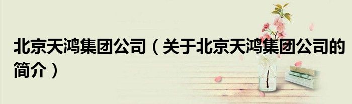 北京天鴻集團公司（關(guān)于北京天鴻集團公司的簡介）