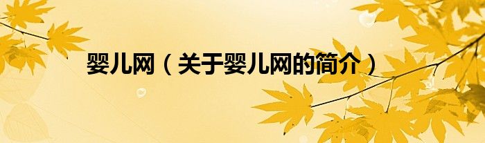 嬰兒網(wǎng)（關(guān)于嬰兒網(wǎng)的簡(jiǎn)介）