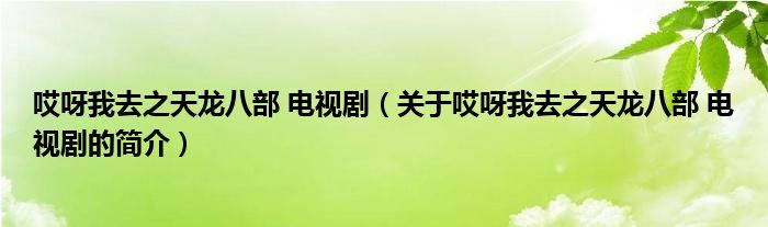 哎呀我去之天龍八部 電視劇（關于哎呀我去之天龍八部 電視劇的簡介）