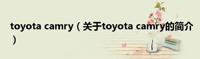 toyota camry（關(guān)于toyota camry的簡(jiǎn)介）