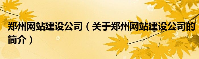 鄭州網站建設公司（關于鄭州網站建設公司的簡介）