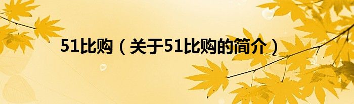 51比購（關(guān)于51比購的簡介）