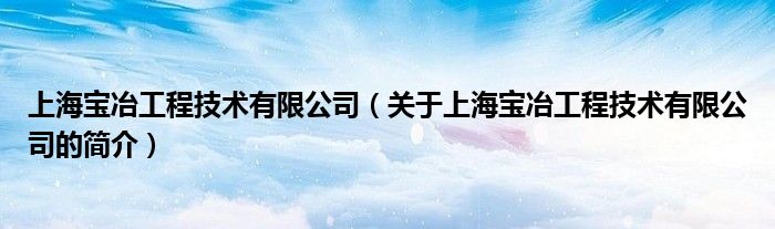 上海寶冶工程技術(shù)有限公司（關(guān)于上海寶冶工程技術(shù)有限公司的簡介）