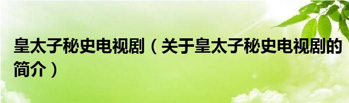 皇太子秘史電視?。P(guān)于皇太子秘史電視劇的簡(jiǎn)介）