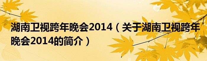 湖南衛(wèi)視跨年晚會(huì)2014（關(guān)于湖南衛(wèi)視跨年晚會(huì)2014的簡(jiǎn)介）