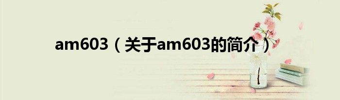 am603（關(guān)于am603的簡介）