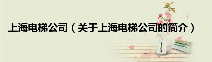 上海電梯公司（關于上海電梯公司的簡介）