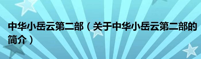 中華小岳云第二部（關于中華小岳云第二部的簡介）