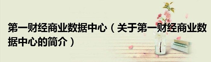 第一財(cái)經(jīng)商業(yè)數(shù)據(jù)中心（關(guān)于第一財(cái)經(jīng)商業(yè)數(shù)據(jù)中心的簡介）