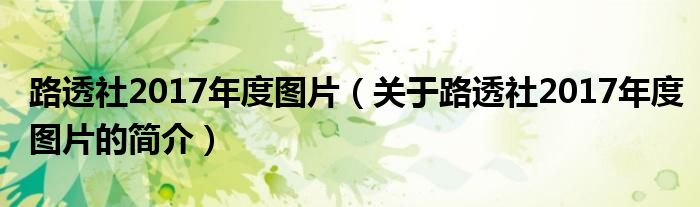 路透社2017年度圖片（關(guān)于路透社2017年度圖片的簡(jiǎn)介）