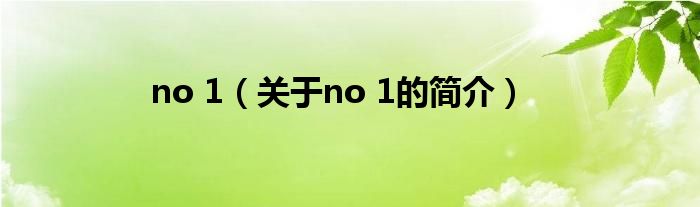 no 1（關(guān)于no 1的簡介）