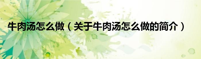 牛肉湯怎么做（關于牛肉湯怎么做的簡介）