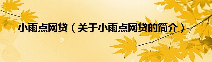 小雨點網(wǎng)貸（關(guān)于小雨點網(wǎng)貸的簡介）