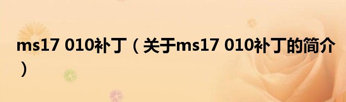 ms17 010補(bǔ)?。P(guān)于ms17 010補(bǔ)丁的簡(jiǎn)介）