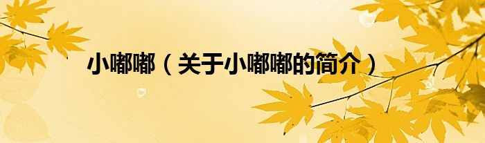 小嘟嘟（關于小嘟嘟的簡介）