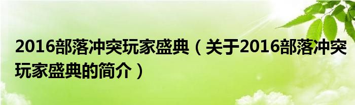2016部落沖突玩家盛典（關于2016部落沖突玩家盛典的簡介）