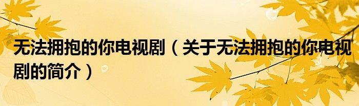 無法擁抱的你電視劇（關(guān)于無法擁抱的你電視劇的簡(jiǎn)介）